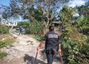 Dan con al menos 5 cuerpos detrás de Paraíso Maya en Cancún
