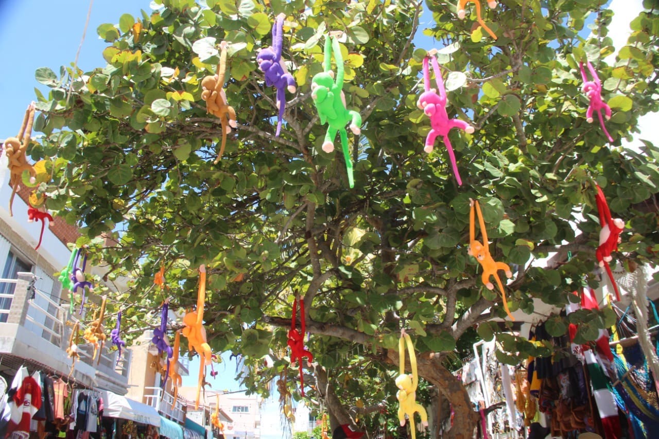 ‘El árbol de los changuitos', un nuevo parador turístico de Isla Mujeres que sobrevivió a la pandemia