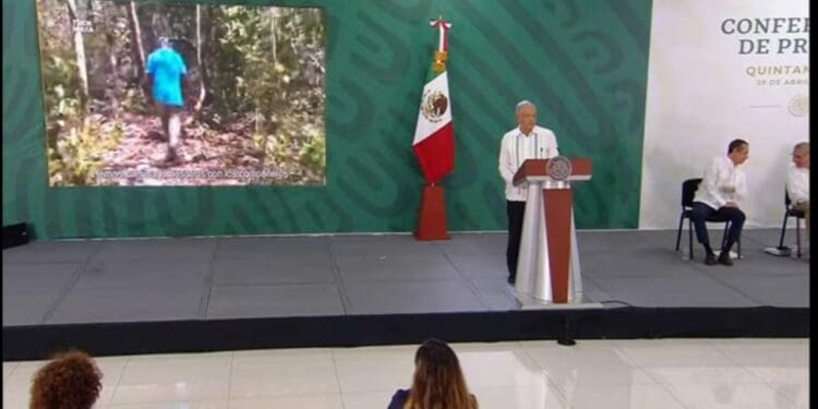 Pese a amparos, Tren Maya concluirá en 2023, afirma AMLO desde Isla Mujeres