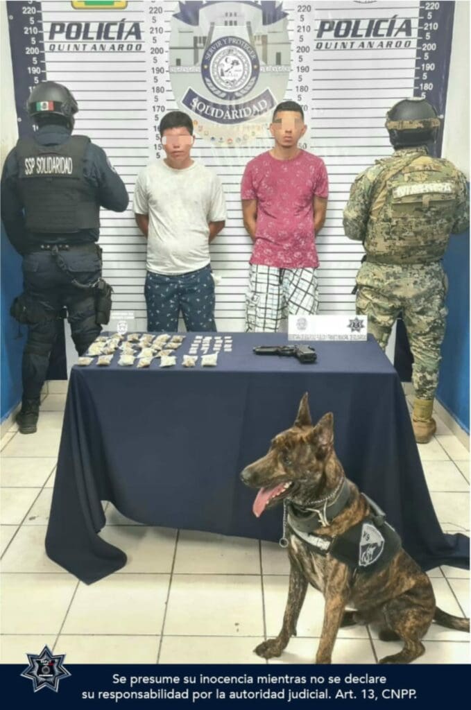 Operativo conjunto trae un golpe a la delincuencia en Playa del Carmen