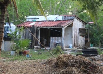 Denuncian abandono familias de la colonia Chiapaneca en Cancún