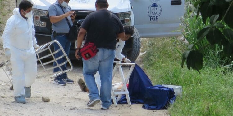 Ejecutan a un vendedor de kibis cerca de Rancho Viejo