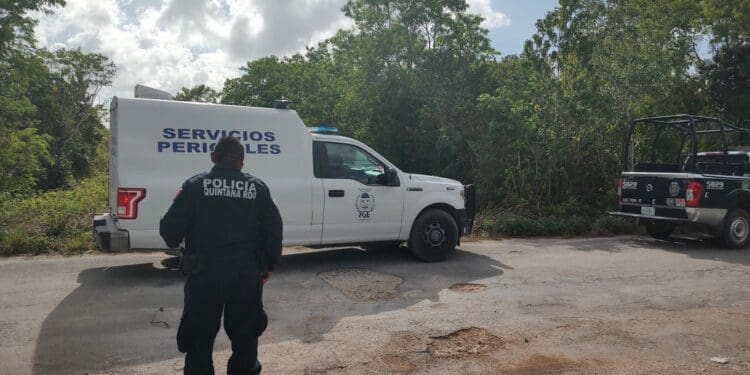 Hallan restos óseos en acceso a la colonia El Pedregal de Cancún