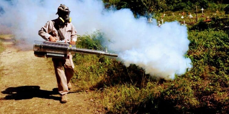 Vigilan posible proliferación de moscos Aedes Aegipty en tres regiones de Cancún￼