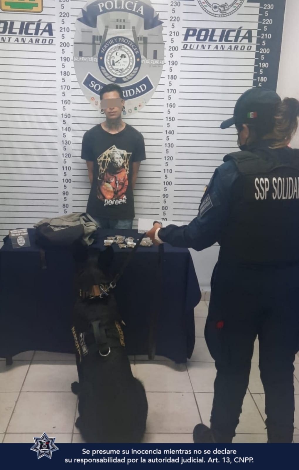 Perro policía detecta a pasajero con narcóticos en van de Playa del Carmen