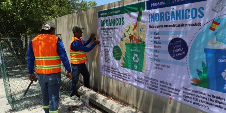 A tres meses de inaugurado, programa de reciclado facilita el manejo de la basura en Isla Mujeres