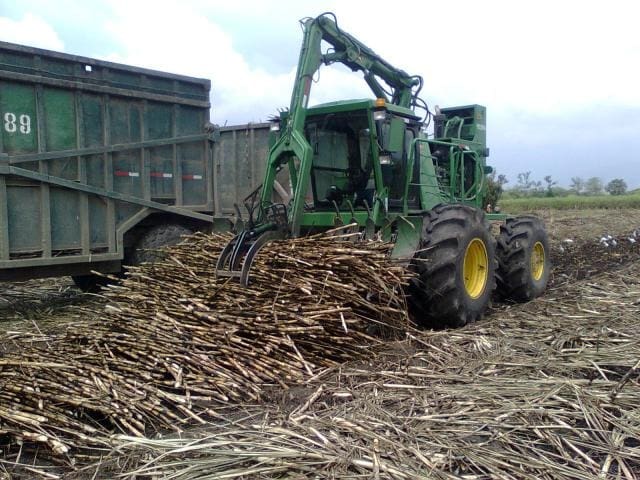 Alistan productores de caña preparativos para cosechar 35 mil hectáreas en la zafra 2022-2023