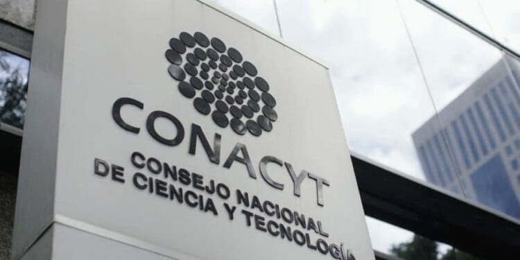 Mujeres indígenas de Quintana Roo acceden a becas del Conacyt para estudiar posgrados