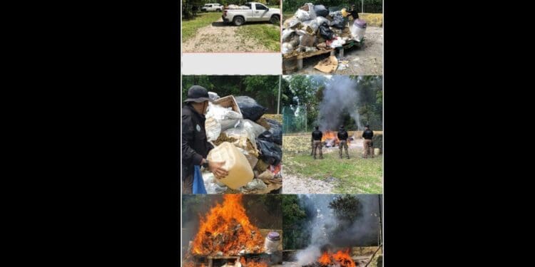 Incineran más de 500 kilos de droga en Quintana Roo