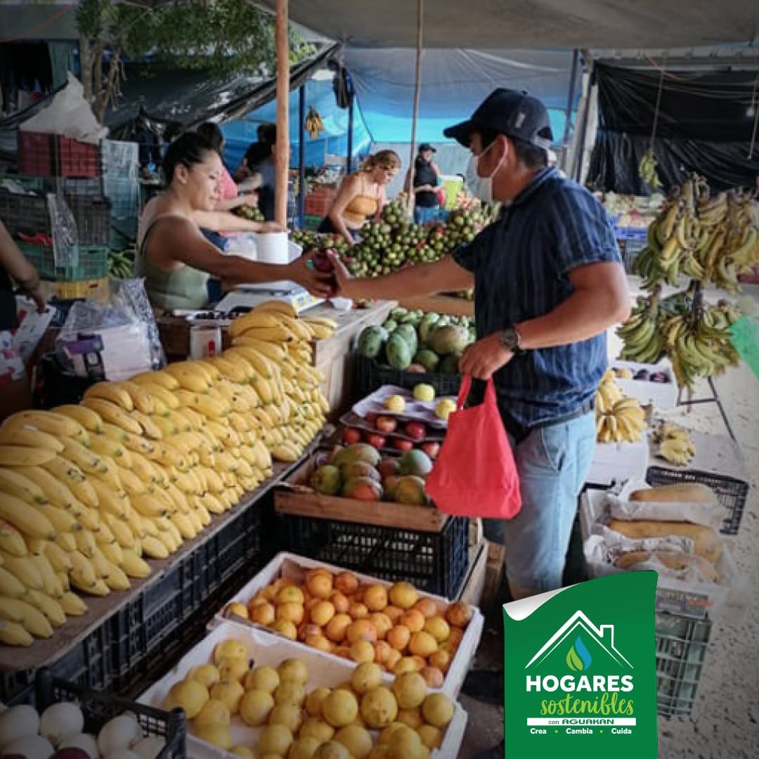 POR TERCER AÑO CONSECUTIVO PROMUEVE AGUAKAN PROGRAMA “HOGARES SOSTENIBLES”