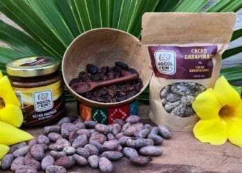 El chocolate artesanal Xocol Kin representa a Quintana Roo en la Feria de Productos artesanales “Punto México Masarik”