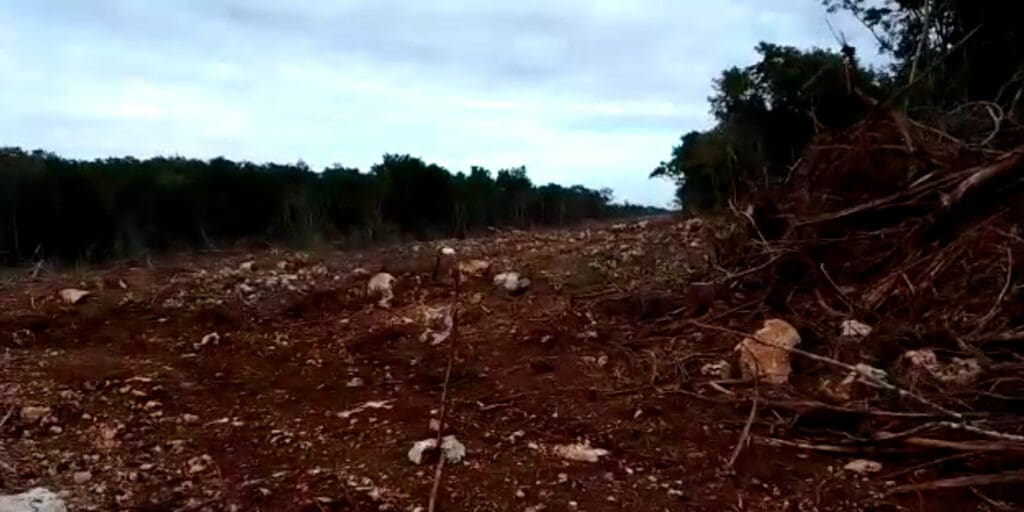 Encuentra ASF irregularidades en cambio de ruta del Tramos 5 del Tren Maya