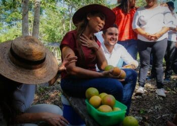 Benefician Huertos del Bienestar a mujeres de Quintana Roo: SEDESO