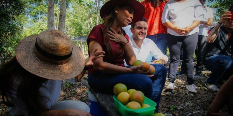 Benefician Huertos del Bienestar a mujeres de Quintana Roo: SEDESO