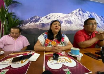 Autoridad debe actuar contra funcionario estatal, de comprobarse abuso, afirma Mildred Ávila