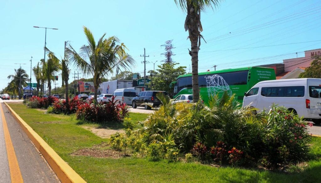 Embellecen la ciudad con plantas nativas