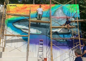 Sociedad Civil y autoridades unen fuerzas para la conservación del tiburón en Isla Mujeres