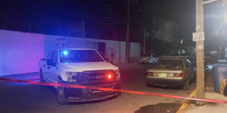 Catean domicilio en Tulum