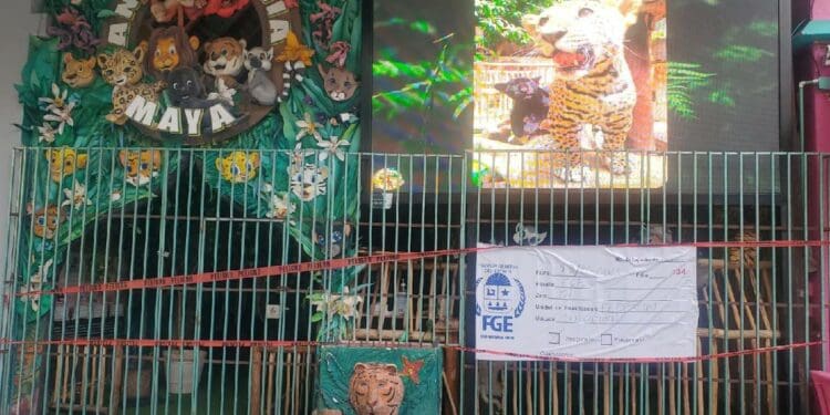 Asegura Fiscalía el local 'Animalandia Maya' en la Quinta Avenida.
