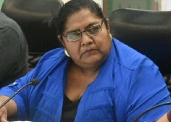 Critica Observatorio Legislativo propuesta para que diputados permanezcan 12 años en su cargo