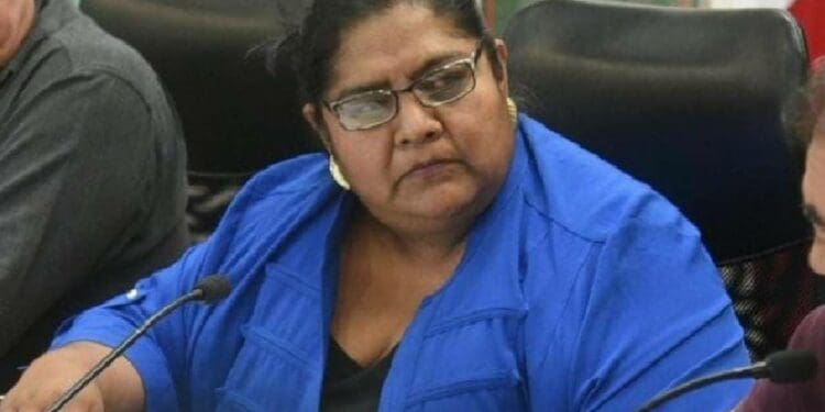 Critica Observatorio Legislativo propuesta para que diputados permanezcan 12 años en su cargo