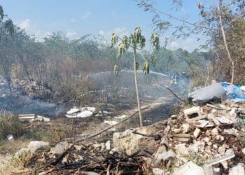 Surge incendio en área verde de Playa del Carmen