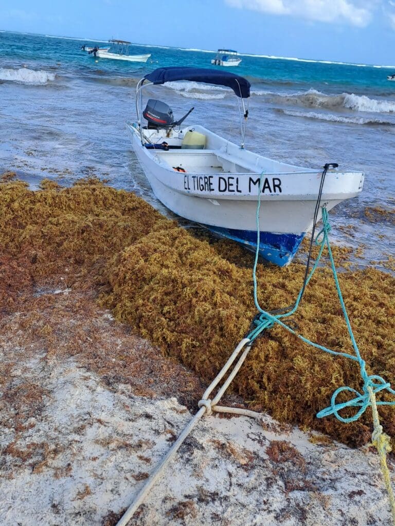 Se hunde lancha en Tulum por obstrucciones de la Guardia Nacional