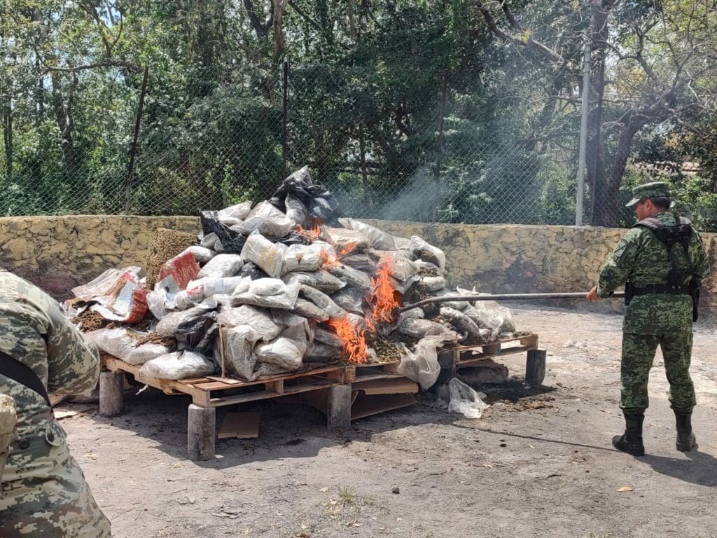 Incineran más de 353 kilos de droga asegurada a la delincuencia en Quintana Roo