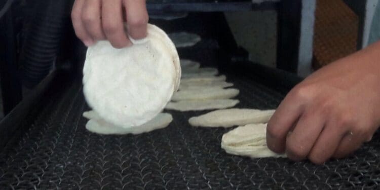 Aplican incremento al precio de la tortilla en Playa del Carmen