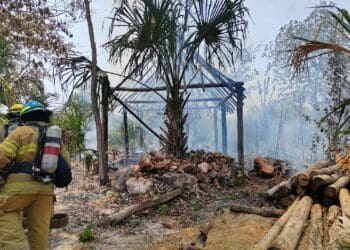 Consume incendio una palapa en la colonia Vicente Guerrero de José María Morelos