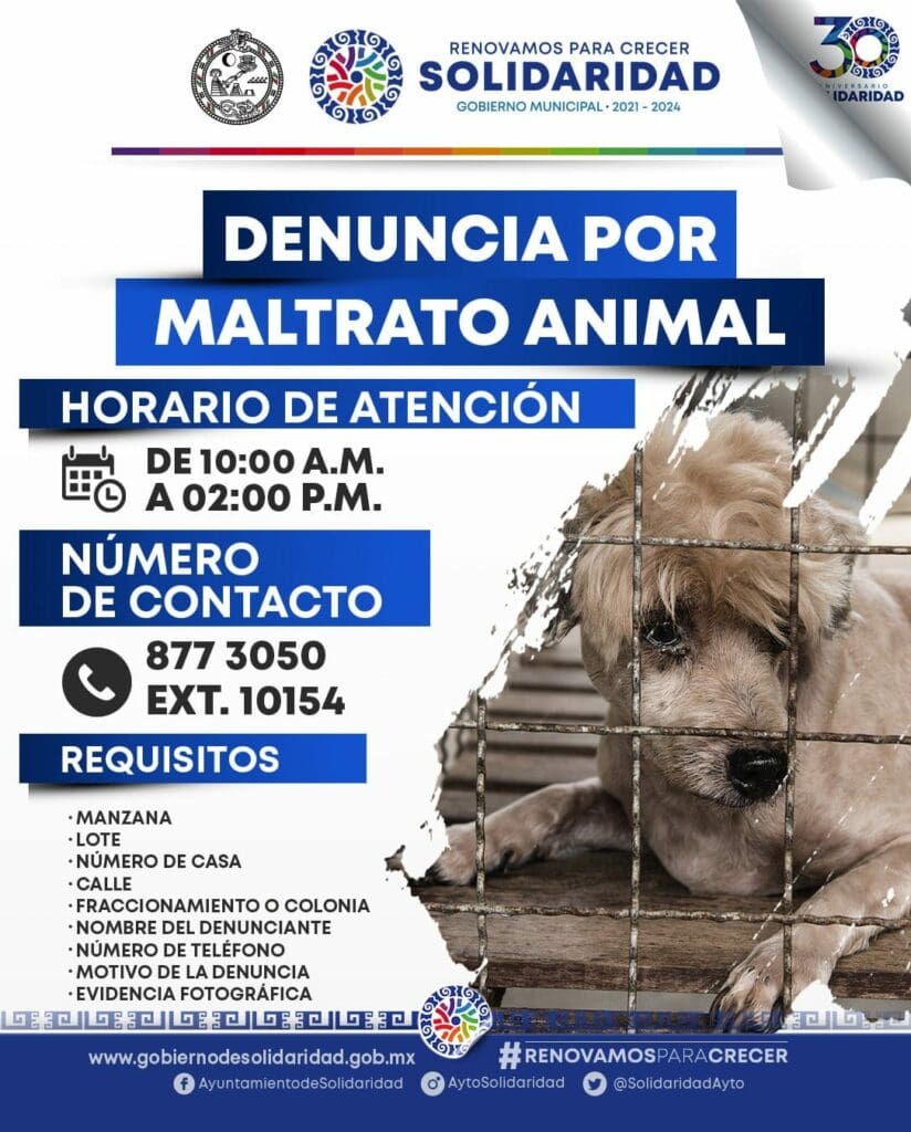 En Solidaridad se castiga el maltrato animal