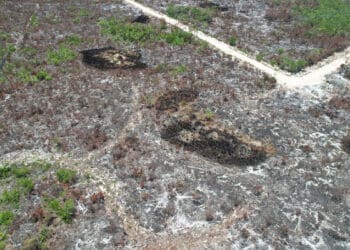 Bomberos, rebasados por incendio forestal en Tulum