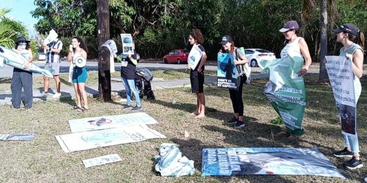 Protestan contra delfinarios en Cancún