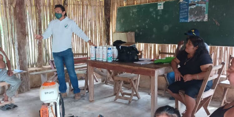 Inician paro, trabajadores de sanidad vegetal en zona maya