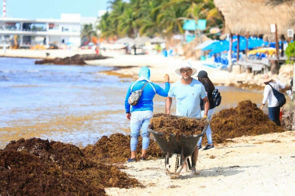 Refuerzan operativos de limpieza en playas