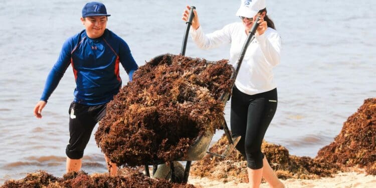 Refuerzan operativos de limpieza en playas