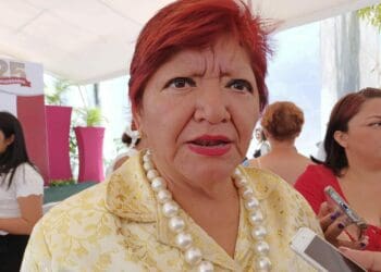 Todas las desapariciones son preocupantes, asegura comisionada de Búsqueda de Personas