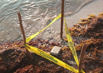 Recala otro 'ladrillo' de cocaína en Pulticub, Bacalar 