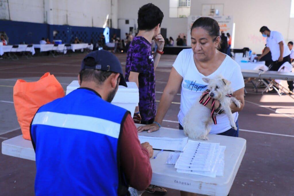 Gobierno busca reducir fauna callejera con esterilizaciones