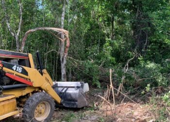 Inconforma a vecinos desmonte de predio en Playa del Carmen