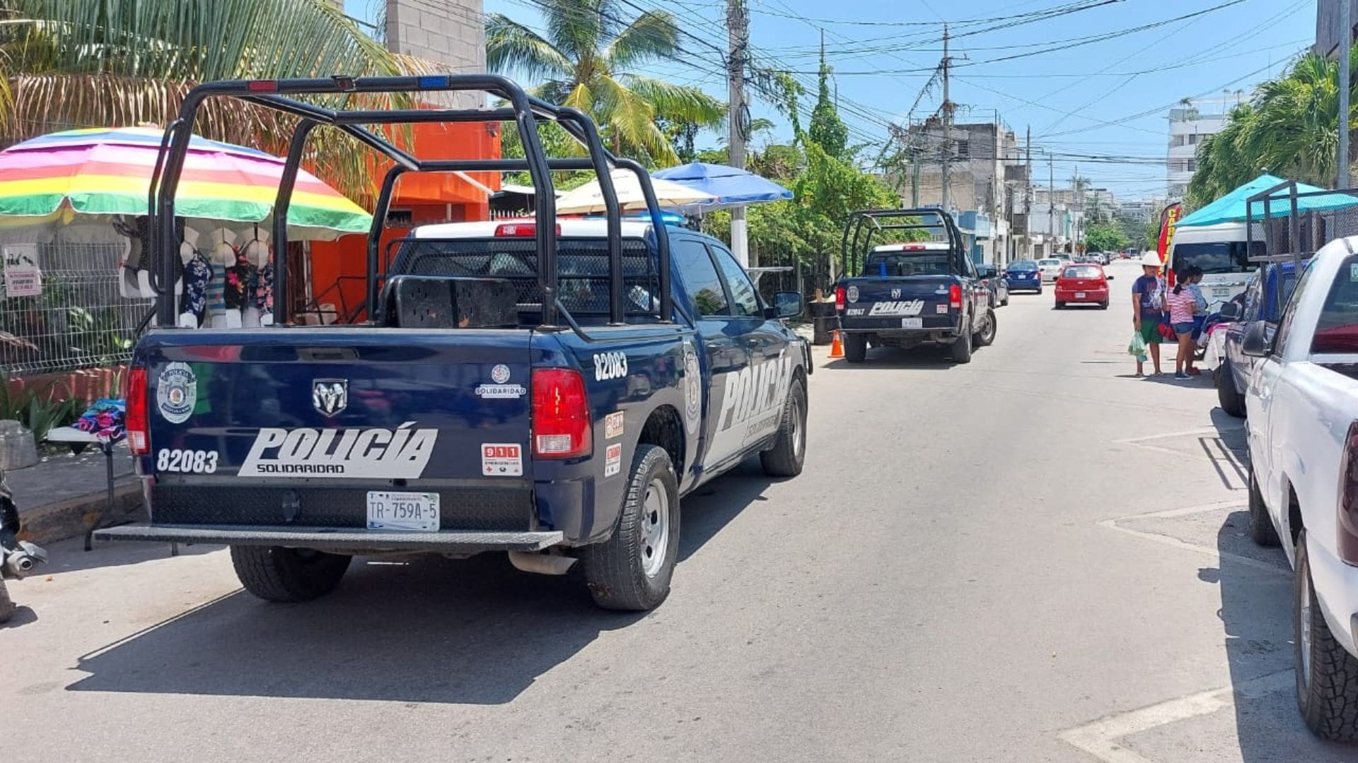 Continuarán inspecciones a tianguis de Solidaridad, para frenar venta de animales exóticos