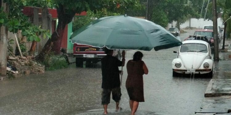 Llaman a población de Cancún a no sacar basura en lapsos de lluvia, para evitar tapar los pozos de absorción
