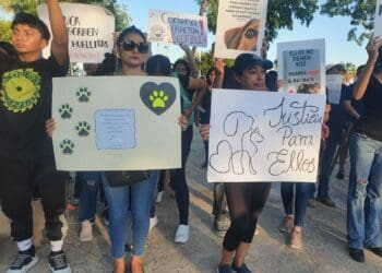 Realizan marcha para exigir justicia por perro que murió ahorcado en Chetumal 