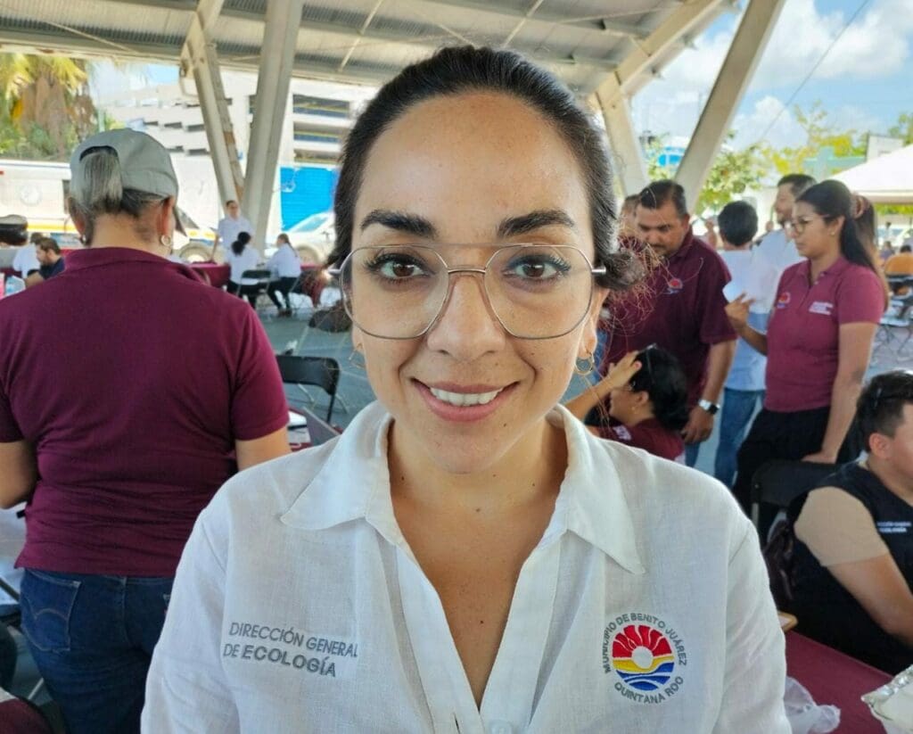 Reducen 30% permisos para tala de árboles en Cancún en lo que va del año