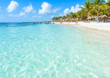 Temporada de verano libre de sargazo según el monitoreo satelital