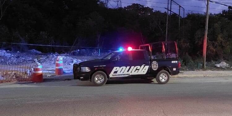 Encuentran osamenta humana en área verde de Playa del Carmen