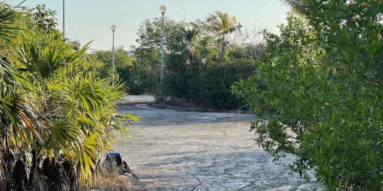 Área verde junto al ‘Table’, en vías de ser declarada zona protegida