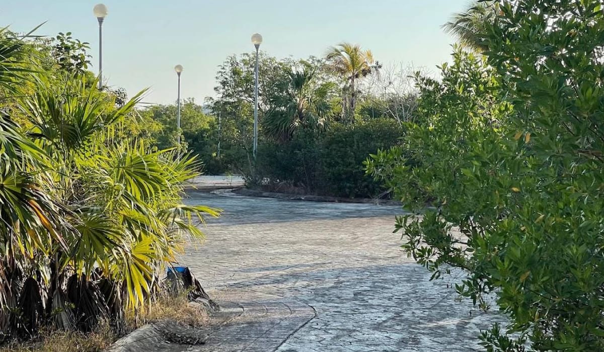 Área verde junto al ‘Table’, en vías de ser declarada zona protegida
