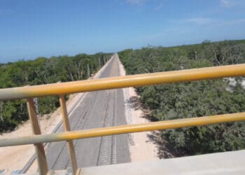 Expropia federación otros 94 inmuebles para el Tren Maya en el sureste; 8 se encuentran en Quintana Roo 