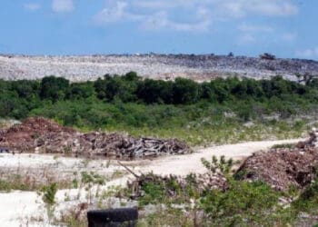 Habilitarán antiguo relleno sanitario en Cancún, de forma temporal